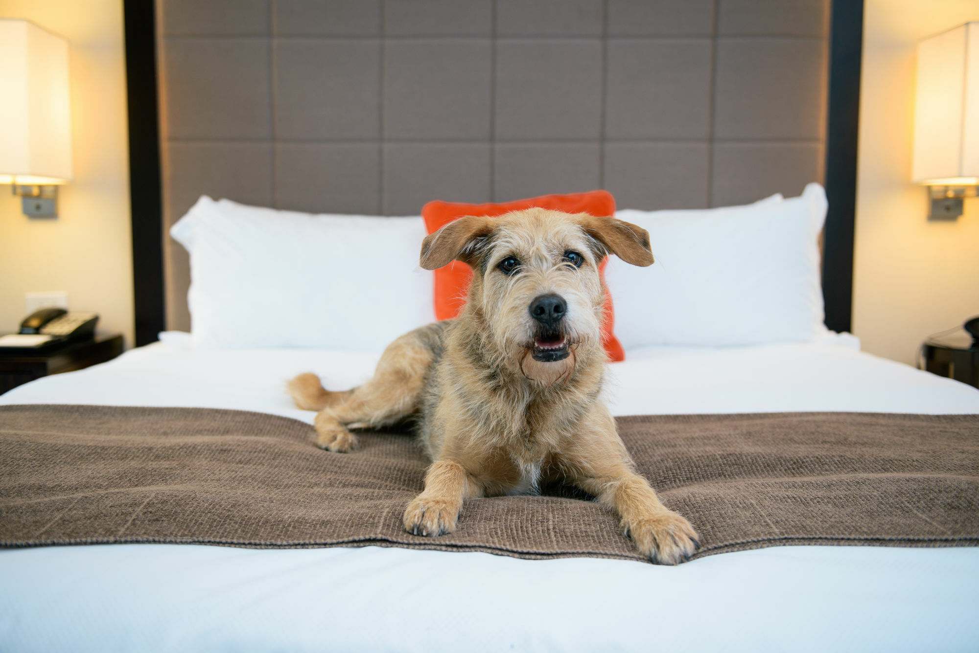 Candlewood Suites - Bluffton-Hilton Head By Ihg Zewnętrze zdjęcie